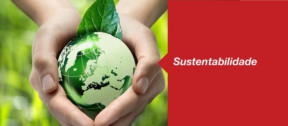 O que é Sustentabilidade?